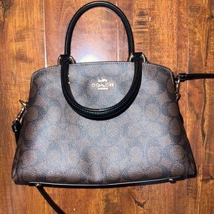 Coach mini Lillie carryall